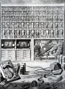1719年に公開されたLevin St. Vincentによる「The List Tables」の表5 作： Dutch School